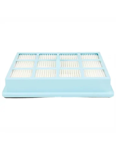 Filtru hepa compatibil CP0425/01 Philips Performer Active FC8525 echivalent 432200493941 Philips - 1