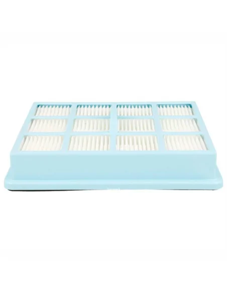 Filtru hepa compatibil CP0425/01 Philips Performer Active FC8525 echivalent 432200493941 Philips - 1