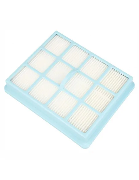 Filtru hepa compatibil CP0425/01 Philips Performer Active FC8525 echivalent 432200493941 Philips - 2