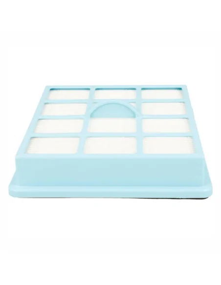 Filtru hepa compatibil CP0425/01 Philips Performer Active FC8525 echivalent 432200493941 Philips - 3