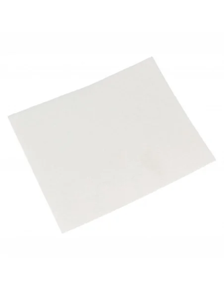 Filtru evacuare aspirator Philips Performer Active FC8575 original - 432200493931 Philips - 2