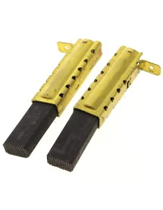 Perii carbune aspirator Karcher (2 buc)