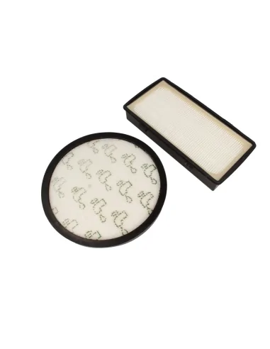 Set 2 filtre Rowenta X-Trem Power Cyclonic echival. ZR006001