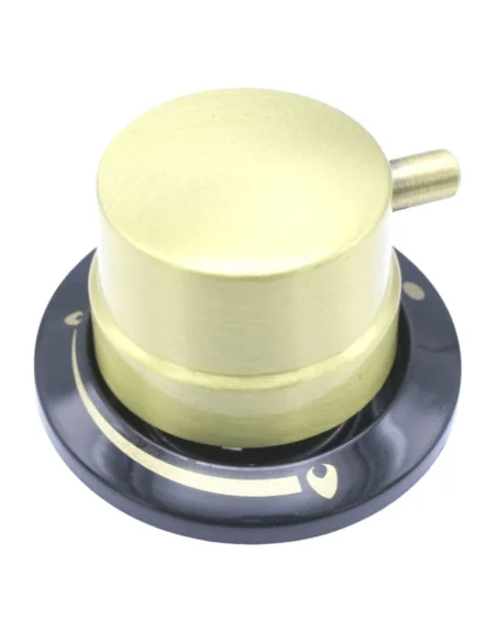 Buton aragaz Beko FSE62134DCR