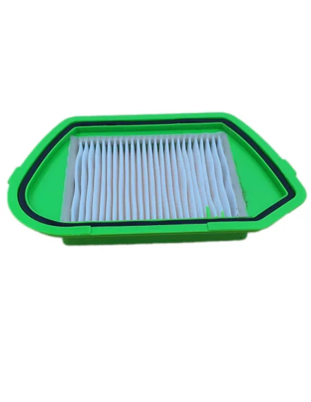 Filtre aspirator Rowenta Compacteo 8